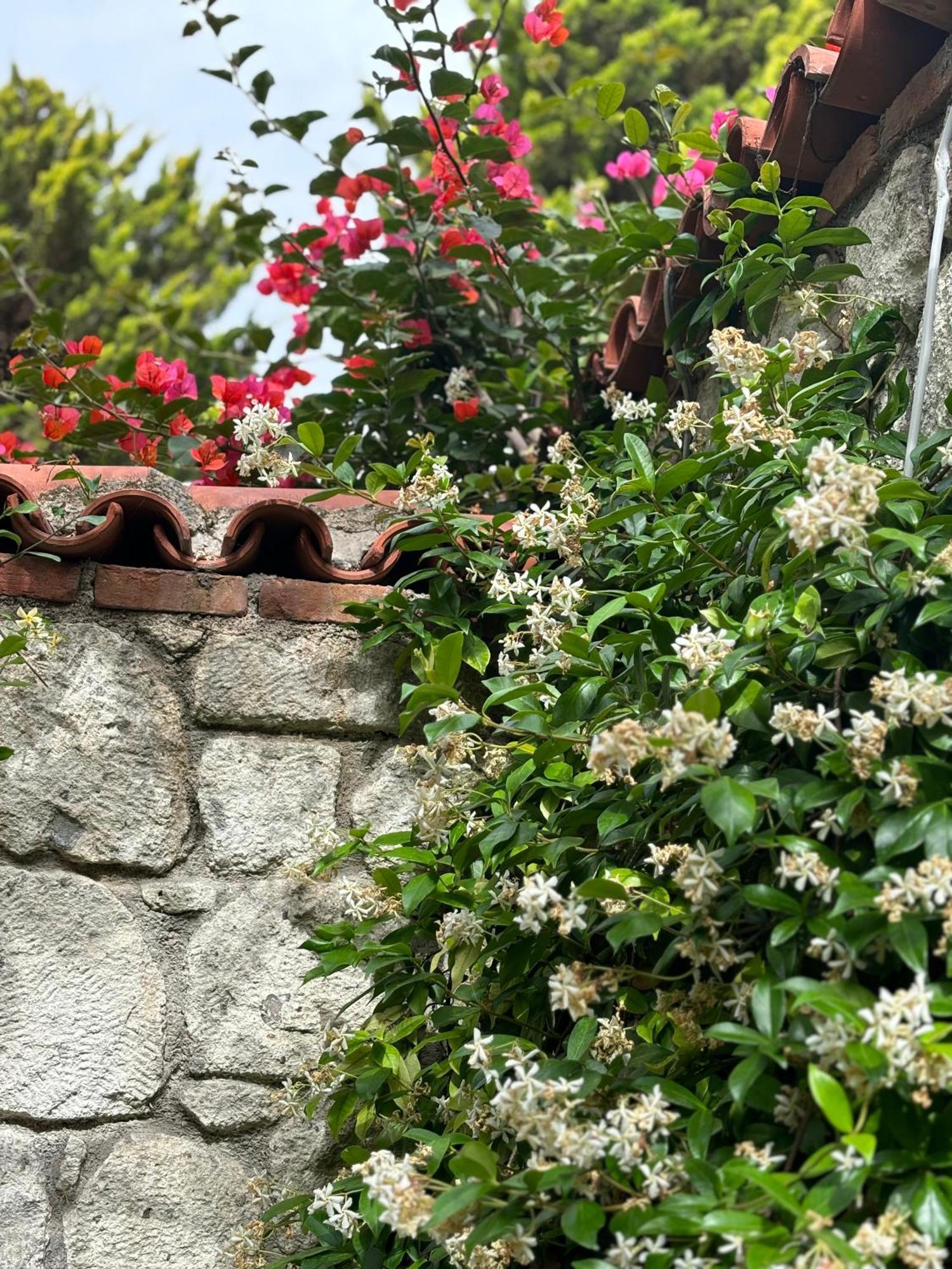 Tasdelen Hotel Alaçatı Exteriér fotografie